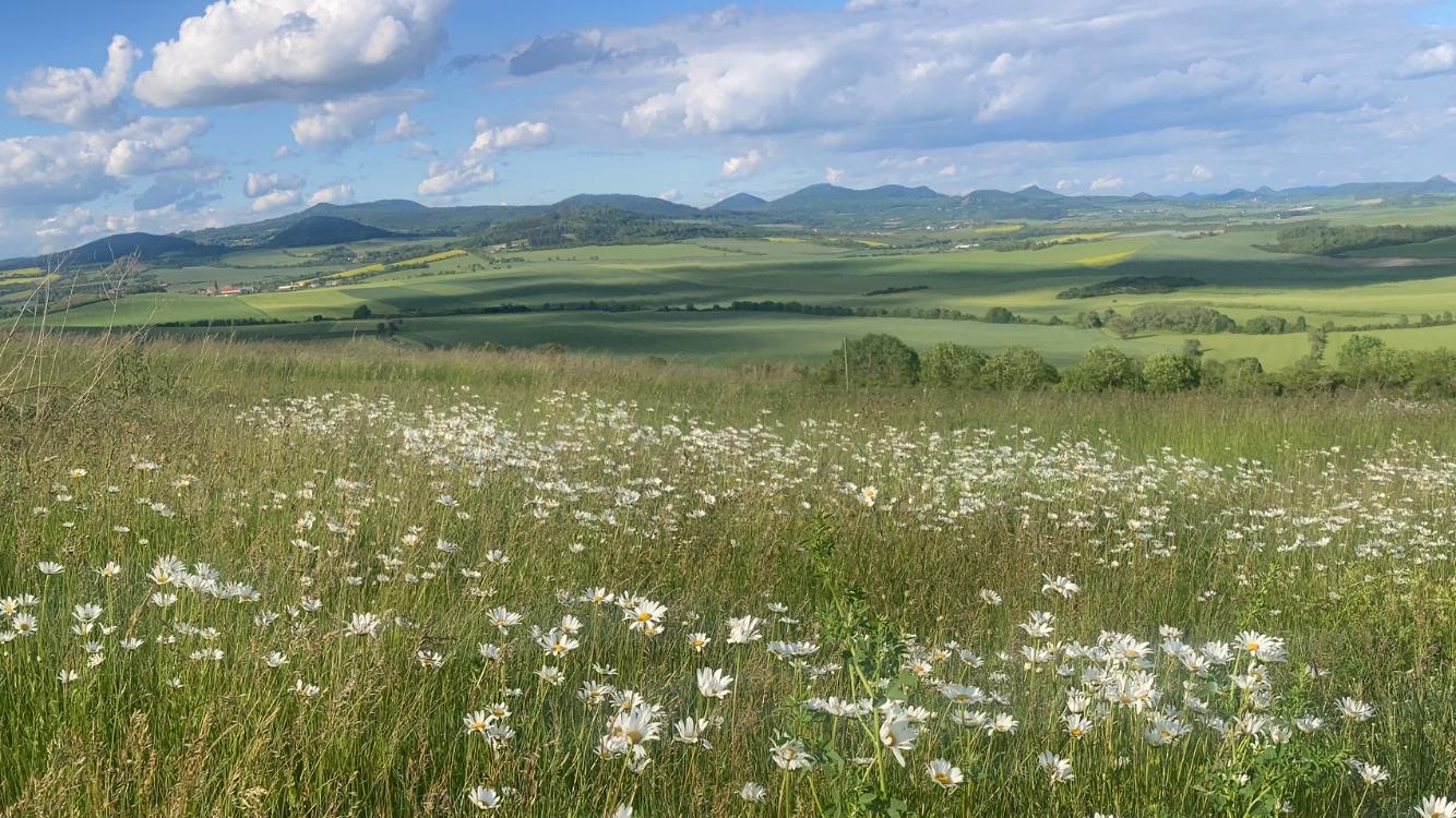 Louka s výhledem na kopce Českého středohoří