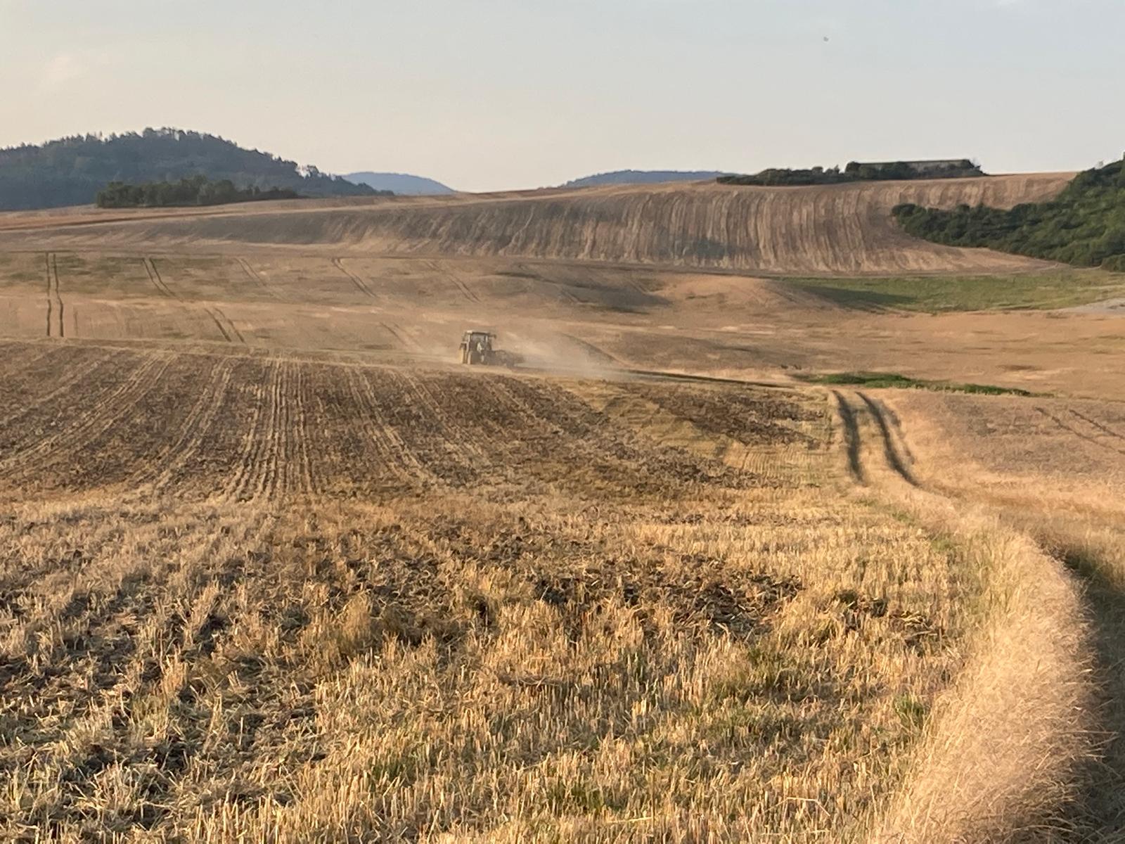 Traktor při obdělávání strniště